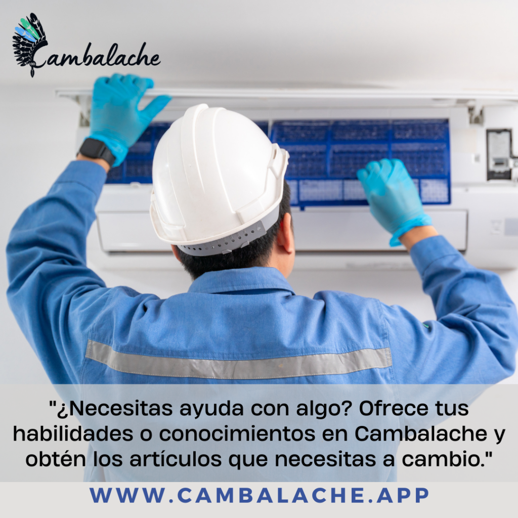 Del Desván al Desarrollo: Cómo Obtener Servicios Profesionales Utilizando tus Bienes como Moneda de Cambio