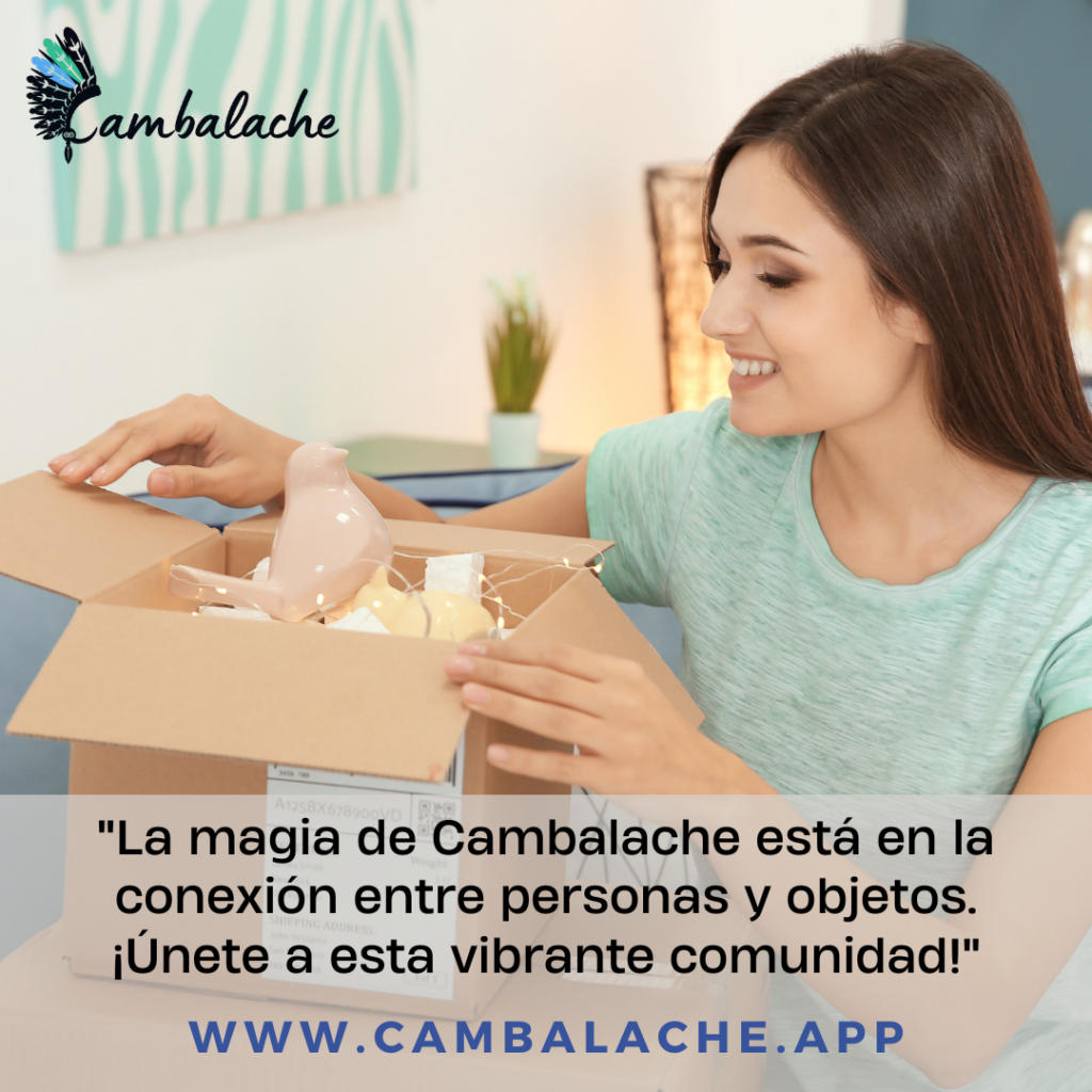 “La Lucha contra la Inflación: Cómo Proteger tu Estabilidad Económica con Cambalache”