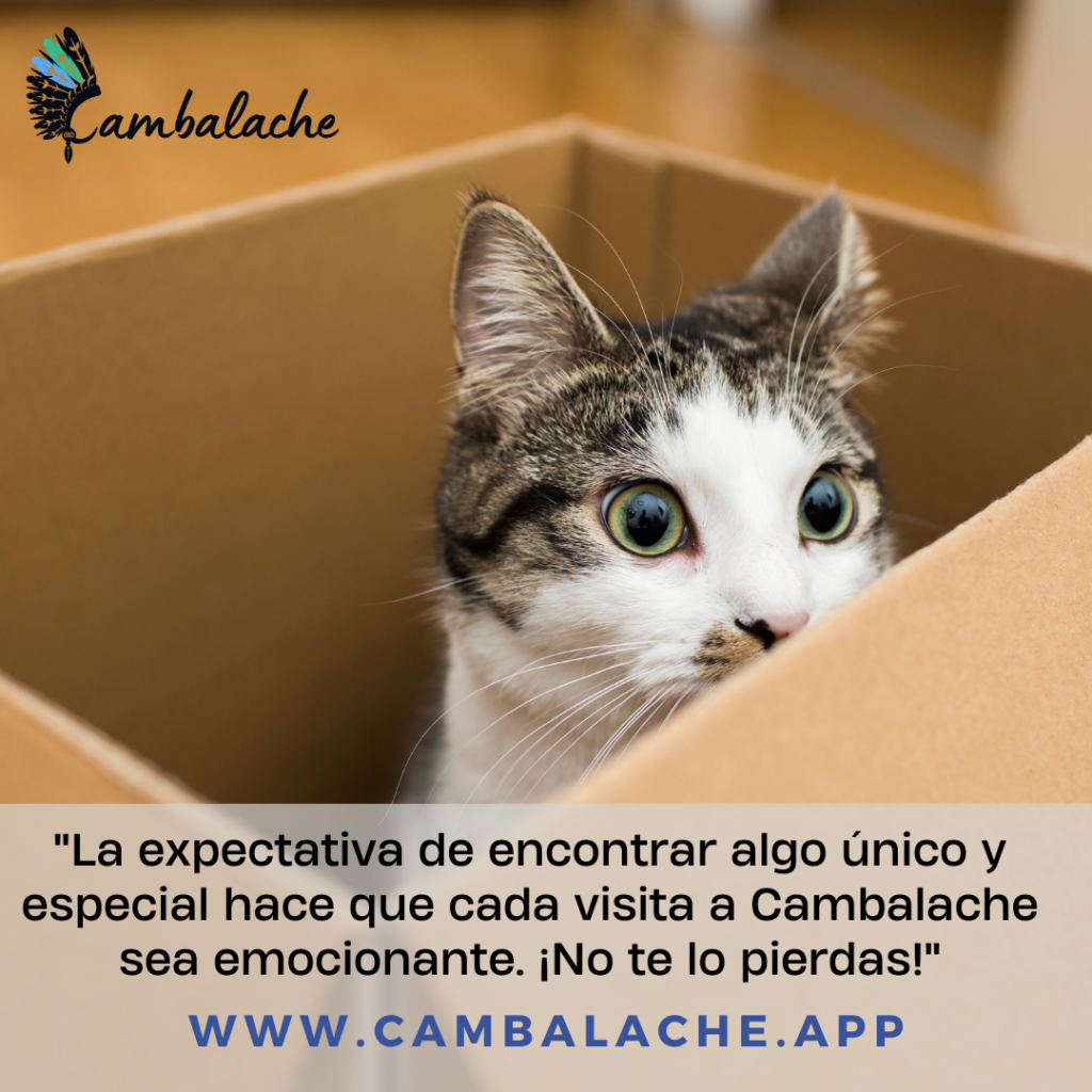 “Preservando tu Riqueza en un Mundo de Precios en Constante Subida: Estrategias para el Éxito Financiero”